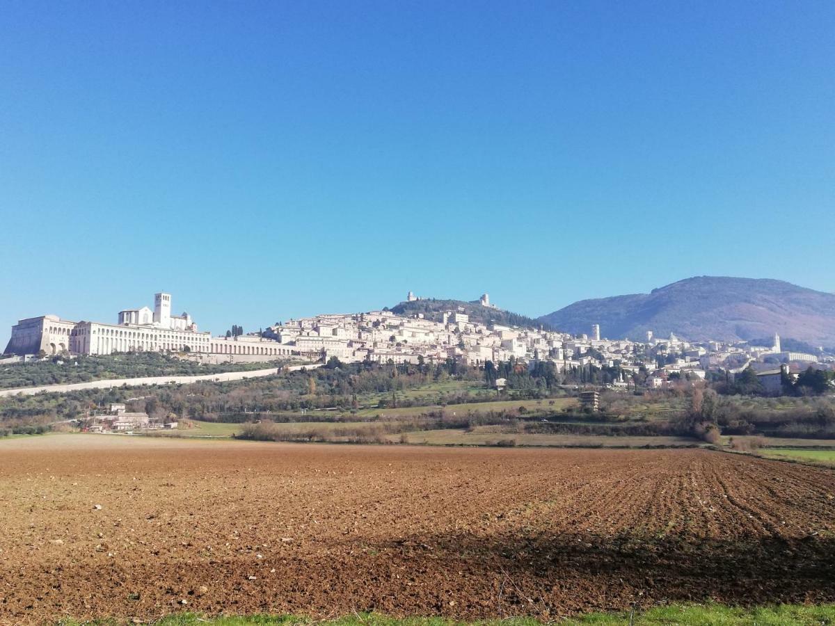 Villa Gina Assisi Bagian luar foto